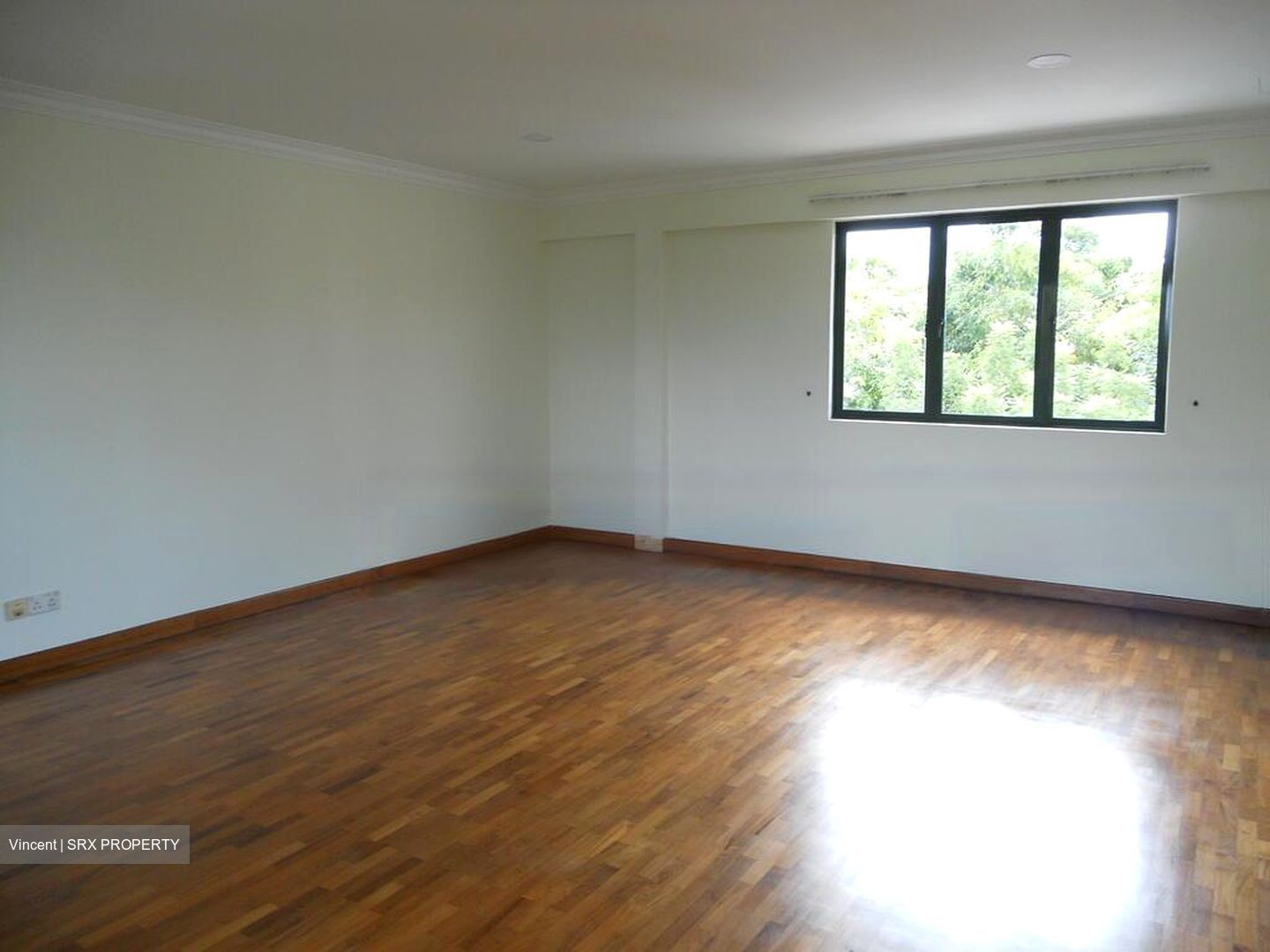 Pinewood Grove (D25), Detached #483744391